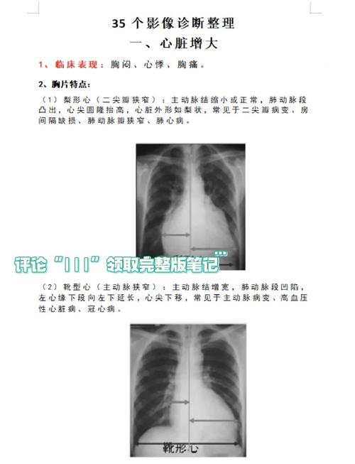 医学影像学备考攻略 病例影像图谱全解析
